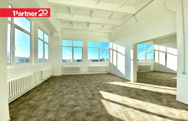 картина 6 of 23