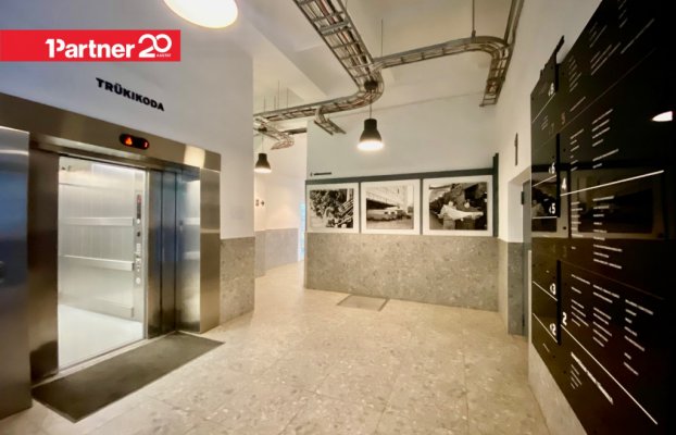 картина 14 of 23