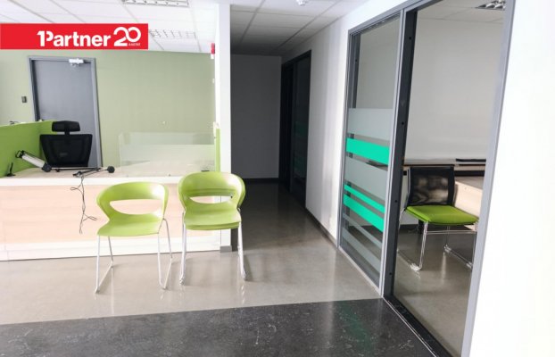 картина 7 of 14