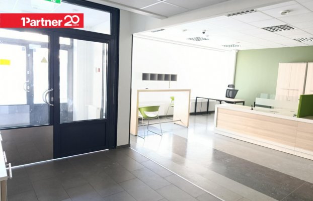 картина 5 of 14