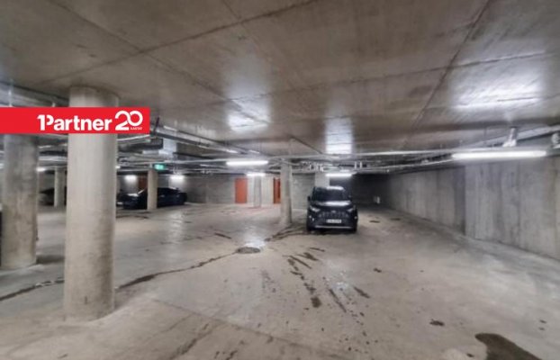 картина 18 of 21