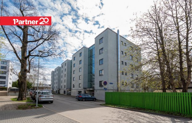 картина 16 of 19