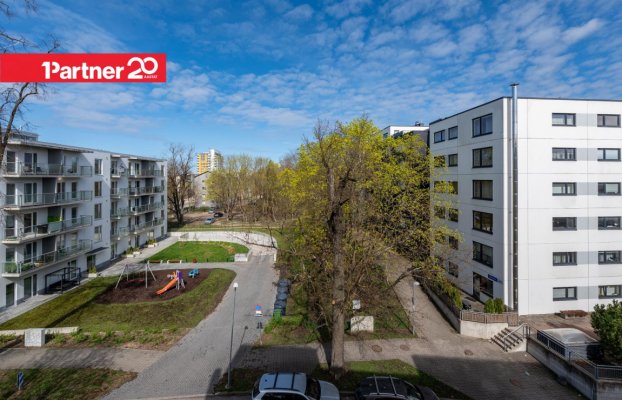 картина 7 of 19