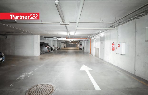 картина 41 of 42