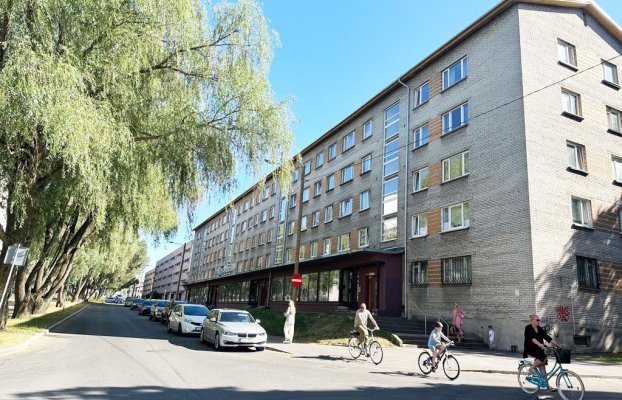Image 11 of 16