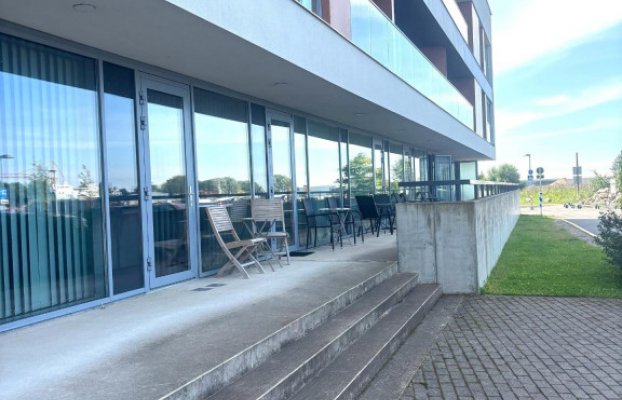 Image 8 of 25