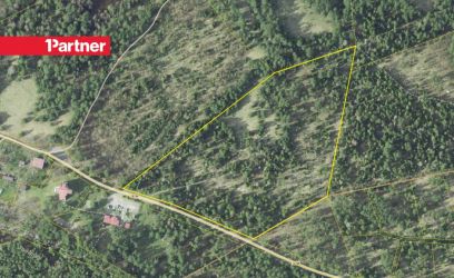 Pilte Suur maatükk (4.25 ha) Kõpu tuletorni kõrval!
