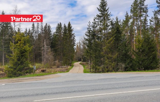 картина 15 of 16