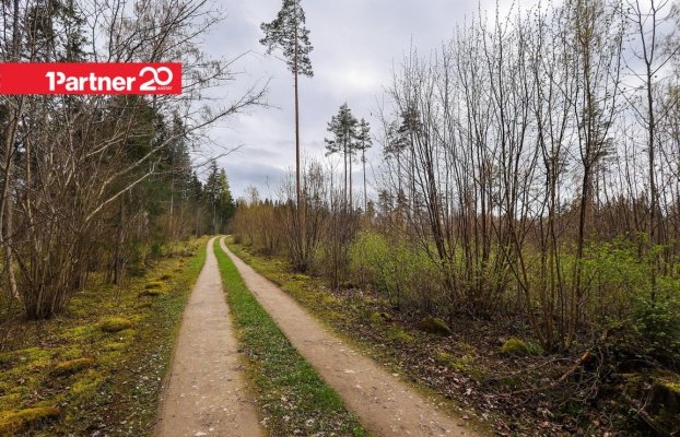 картина 13 of 16