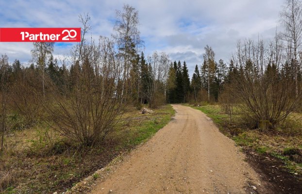 картина 7 of 16