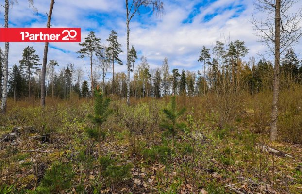 картина 1 of 16