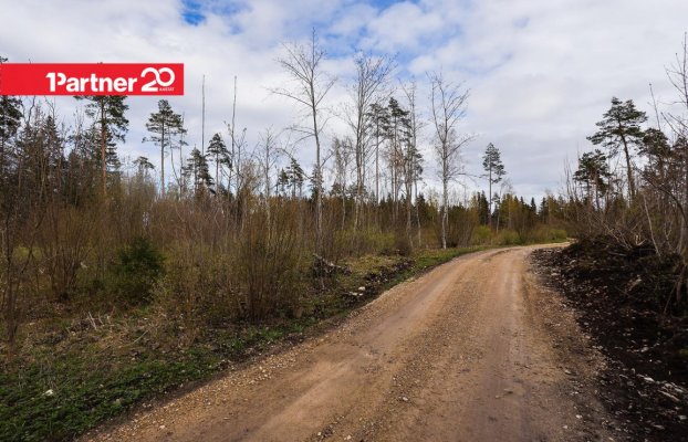 картина 4 of 16