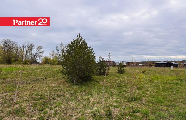 картина 4 of 15