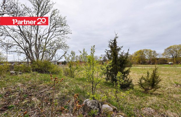 картина 7 of 15