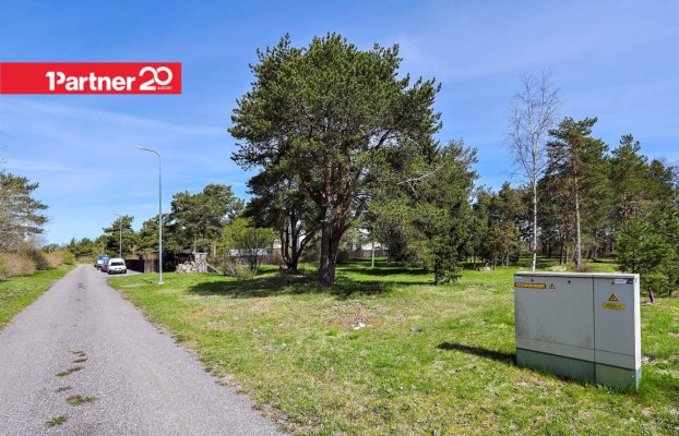 картина 9 of 23