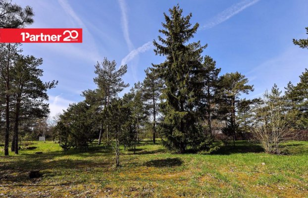 картина 17 of 23