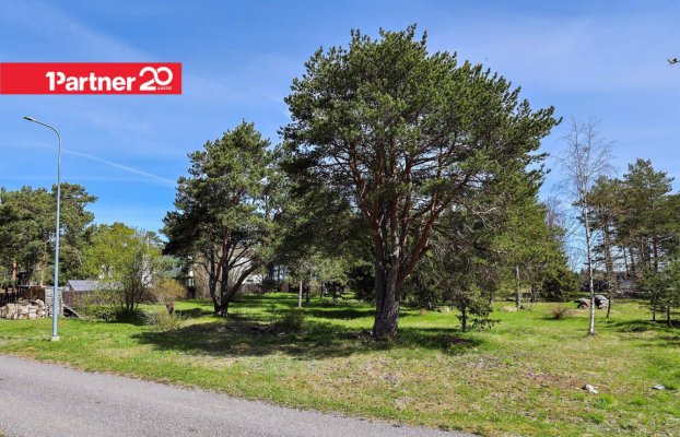 картина 19 of 23