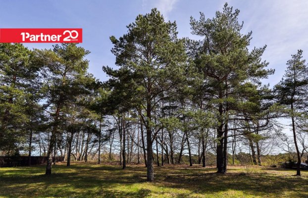 картина 12 of 23