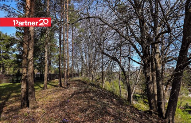 картина 15 of 23