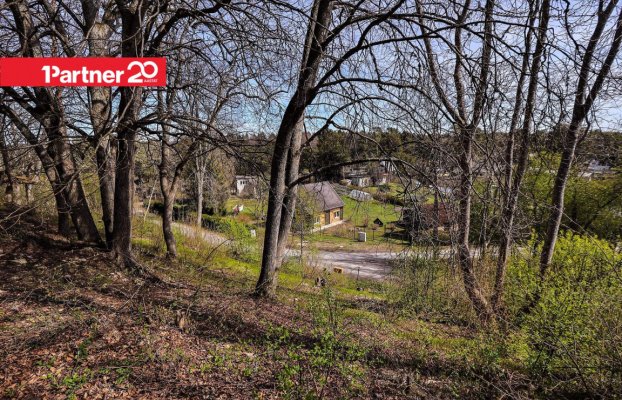 картина 16 of 23