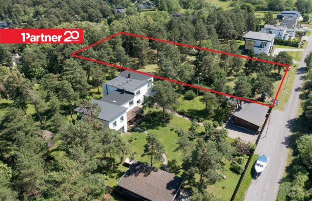 картина 4 of 23