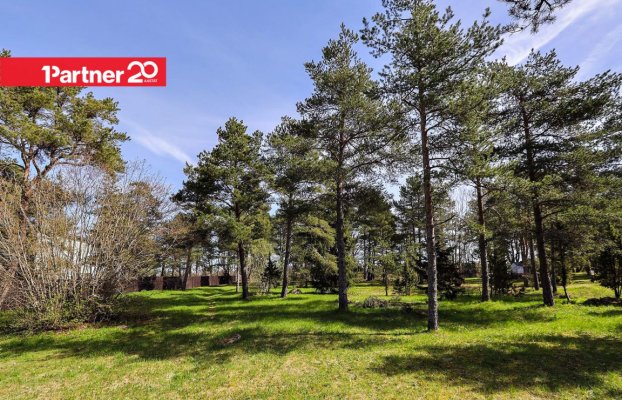 картина 18 of 23