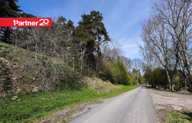 картина 21 of 23