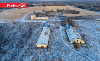 Pilte Kinnistul kaks suurt sigalat!