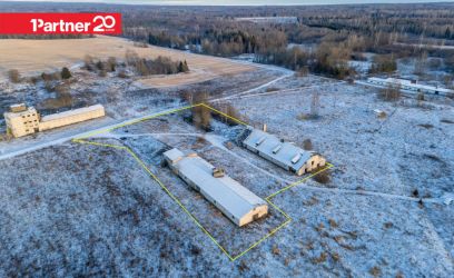 Pilte Kinnistul kaks suurt sigalat!