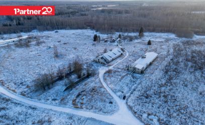 Pilte Kinnistul kaks suurt sigalat!