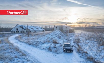 Pilte Kinnistul kaks suurt sigalat!