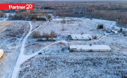 Pilte Kinnistul kaks suurt sigalat!