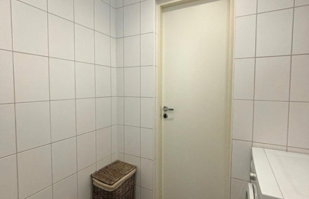 картина 14 of 29