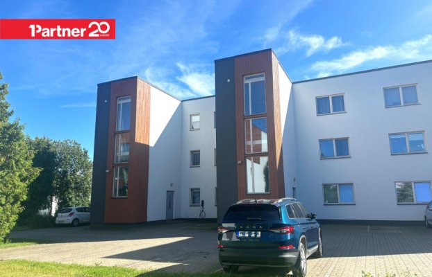 картина 24 of 29