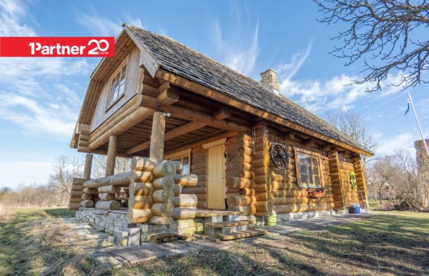 картина 10 of 45