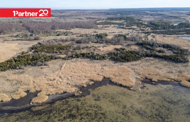 картина 39 of 45