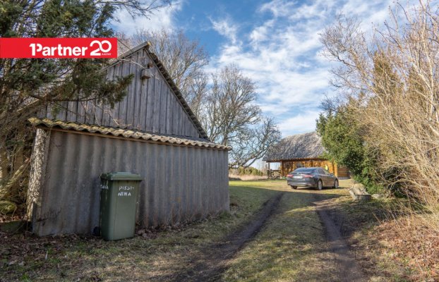 картина 38 of 45