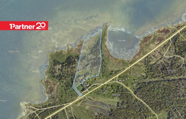 картина 44 of 45