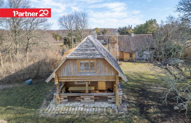 картина 5 of 45