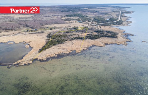 картина 4 of 45