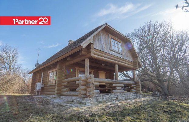 картина 12 of 45