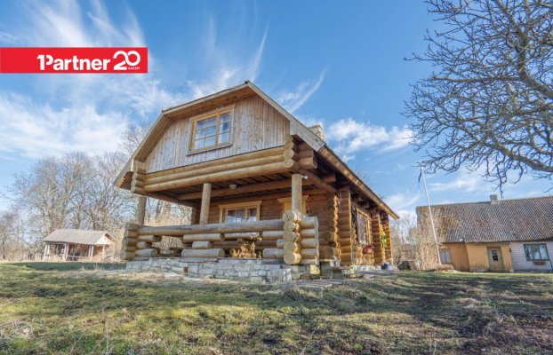 картина 1 of 45