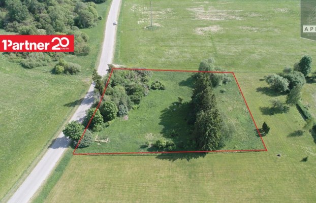 картина 1 of 7