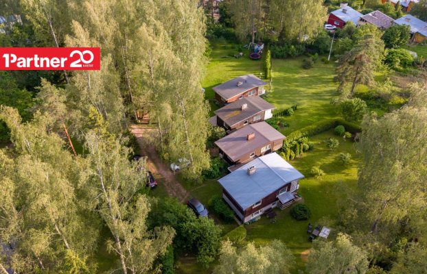 картина 36 of 39