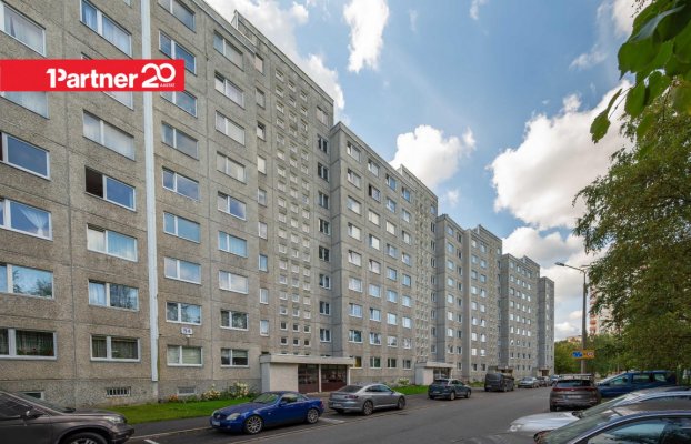 картина 17 of 18