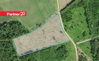 Image of 4,0 ha maad 4,5 km kaugusel Viljandi linnapiirist!