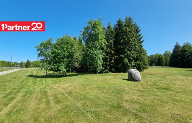 Image 8 of 32