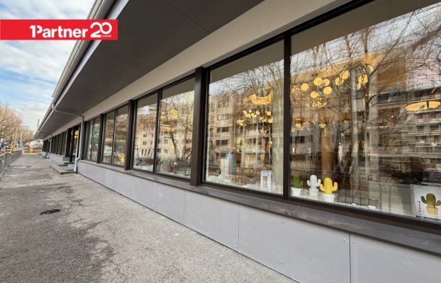 картина 4 of 11