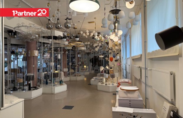 картина 7 of 11