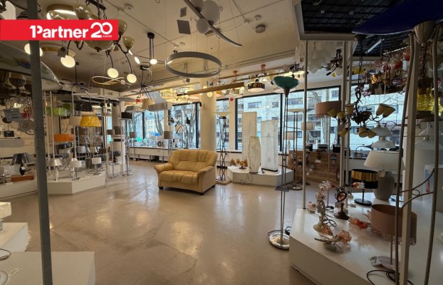 картина 6 of 11